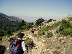 photo coins arrondis